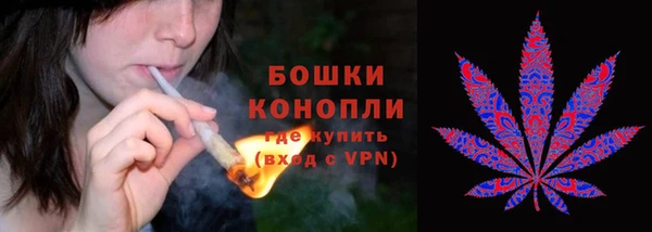 гашик Армянск